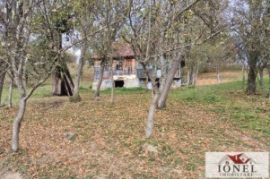 casa-in-muntii-apuseni-cu-114144-mp-teren-22