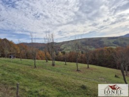 casa-in-muntii-apuseni-cu-114144-mp-teren-32