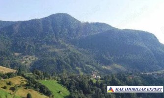 poieni-alpine-9-ha-in-albestii-de-muscel-arges-0
