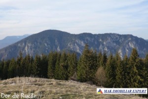 vila-noua-3-camere-teren-177-mp-in-rucar-arges-33