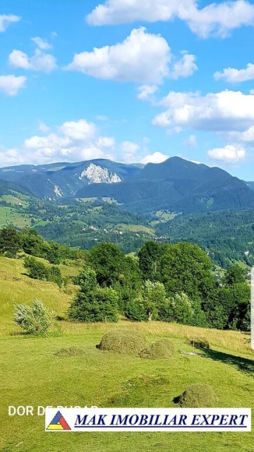 vila-noua-3-camere-teren-177-mp-in-rucar-arges-35