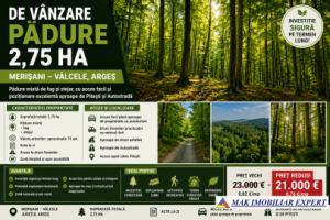 padure-275-ha-in-merisani-valcelele-arges
