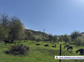casa-4-cam-teren-278-ha-in-apa-sarata-campulung-muscel-ag-1