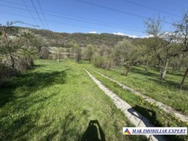 casa-4-cam-teren-278-ha-in-apa-sarata-campulung-muscel-ag-3