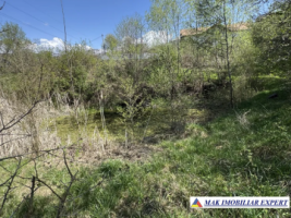 casa-4-cam-teren-278-ha-in-apa-sarata-campulung-muscel-ag-6
