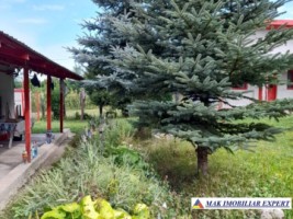 casa-4-camere-teren-2850-mp-de-vanzare-schitu-golesti-arges-96