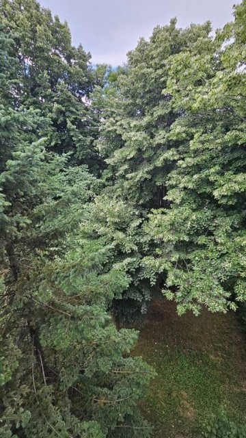 apartament-2-camere-de-vanzare-zona-nord-nichita-stanescu-23