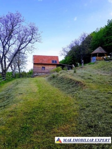 prop-istorica-vatra-casei-parintesti-arsenie-boca-teren-85-ha-in-hunedoara-2