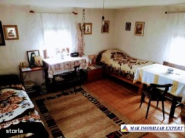 prop-istorica-vatra-casei-parintesti-arsenie-boca-teren-85-ha-in-hunedoara-3