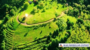 prop-istorica-vatra-casei-parintesti-arsenie-boca-teren-85-ha-in-hunedoara-7