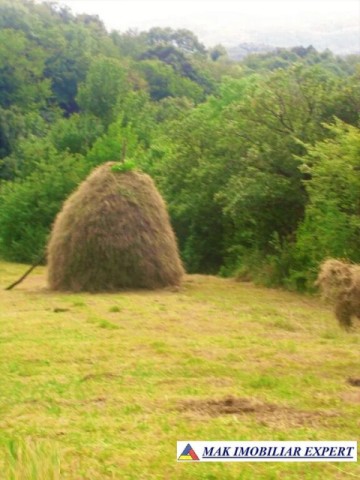 prop-istorica-vatra-casei-parintesti-arsenie-boca-teren-85-ha-in-hunedoara-14