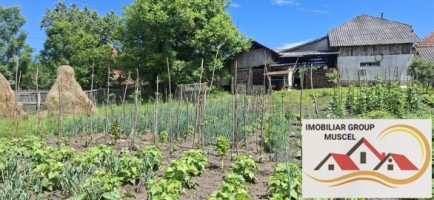vanzare-doua-corpuri-de-case-in-vacarea-com-mihaesti-intr-o-zona-linistita-cu-teren-1500-mp-la-pretul-de-69000-euro-negociabil-20