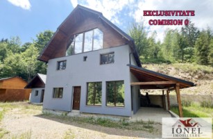 casa-de-vanzare-in-apuseni-horea-0