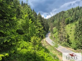casa-de-vanzare-in-apuseni-horea-13