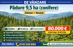 vand-padure-95-ha-conifere-in-damuc-neamt