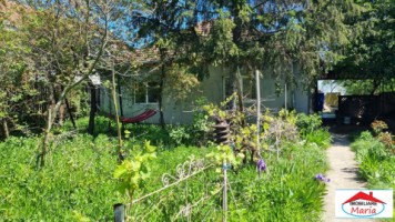 casa-cu-teren-1500-mp-zona-lucian-blaga