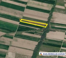 de-vanzare-teren-5000-mp-extravilan-in-titesti-arges-1