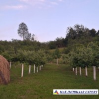 casa-3-camere-teren-2405-mp-in-mihaesti-vacarea-arges-30