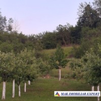 casa-3-camere-teren-2405-mp-in-mihaesti-vacarea-arges-31