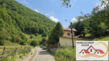 vila-pem-9-camere-in-dambovicioaraargessupr291mp-teren-1200mppret-450000-euro-4