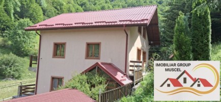 vila-pem-9-camere-in-dambovicioaraargessupr291mp-teren-1200mppret-450000-euro-5