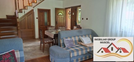 vila-pem-9-camere-in-dambovicioaraargessupr291mp-teren-1200mppret-450000-euro-6