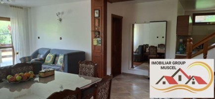 vila-pem-9-camere-in-dambovicioaraargessupr291mp-teren-1200mppret-450000-euro-8