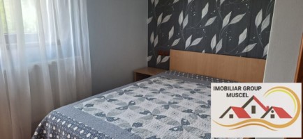 vila-pem-9-camere-in-dambovicioaraargessupr291mp-teren-1200mppret-450000-euro-12