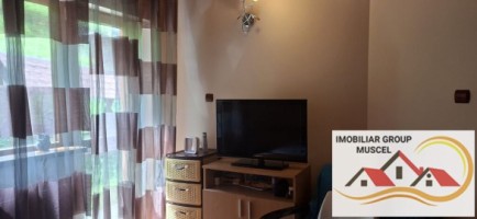 vila-pem-9-camere-in-dambovicioaraargessupr291mp-teren-1200mppret-450000-euro-18