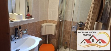vila-pem-9-camere-in-dambovicioaraargessupr291mp-teren-1200mppret-450000-euro-16
