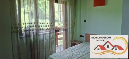 vila-pem-9-camere-in-dambovicioaraargessupr291mp-teren-1200mppret-450000-euro-26