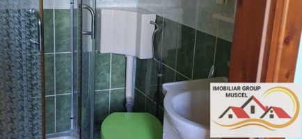 vila-pem-9-camere-in-dambovicioaraargessupr291mp-teren-1200mppret-450000-euro-25