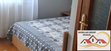 vila-pem-9-camere-in-dambovicioaraargessupr291mp-teren-1200mppret-450000-euro-24