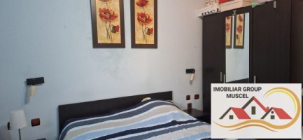 vila-pem-9-camere-in-dambovicioaraargessupr291mp-teren-1200mppret-450000-euro-29