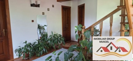 vila-pem-9-camere-in-dambovicioaraargessupr291mp-teren-1200mppret-450000-euro-27