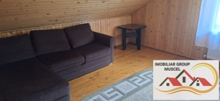 vila-pem-9-camere-in-dambovicioaraargessupr291mp-teren-1200mppret-450000-euro-35
