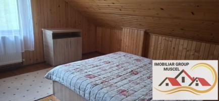 vila-pem-9-camere-in-dambovicioaraargessupr291mp-teren-1200mppret-450000-euro-32