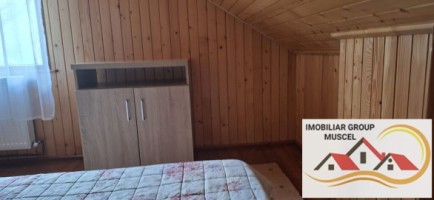 vila-pem-9-camere-in-dambovicioaraargessupr291mp-teren-1200mppret-450000-euro-33