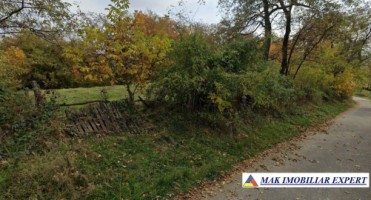 teren-intravilan-6389-mp-in-albestii-de-muscel-arges-1