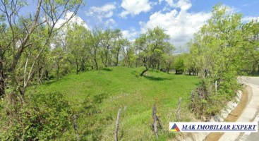 teren-5200-mp-extravilan-in-nucsoara-arges-2