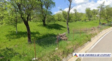 teren-5200-mp-extravilan-in-nucsoara-arges-1
