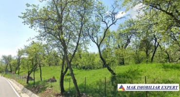 teren-5200-mp-extravilan-in-nucsoara-arges-5