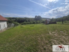 teren-intravilan-2292mp-de-vanzare-in-vintu-de-jos-3