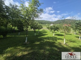 teren-intravilan-2292mp-de-vanzare-in-vintu-de-jos-8