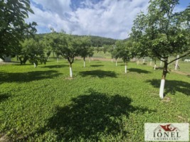 teren-intravilan-2292mp-de-vanzare-in-vintu-de-jos-7