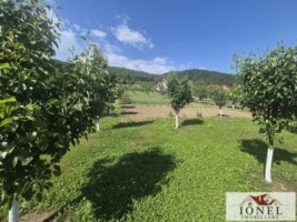 teren-intravilan-2292mp-de-vanzare-in-vintu-de-jos-5