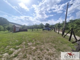 teren-intravilan-2292mp-de-vanzare-in-vintu-de-jos-12