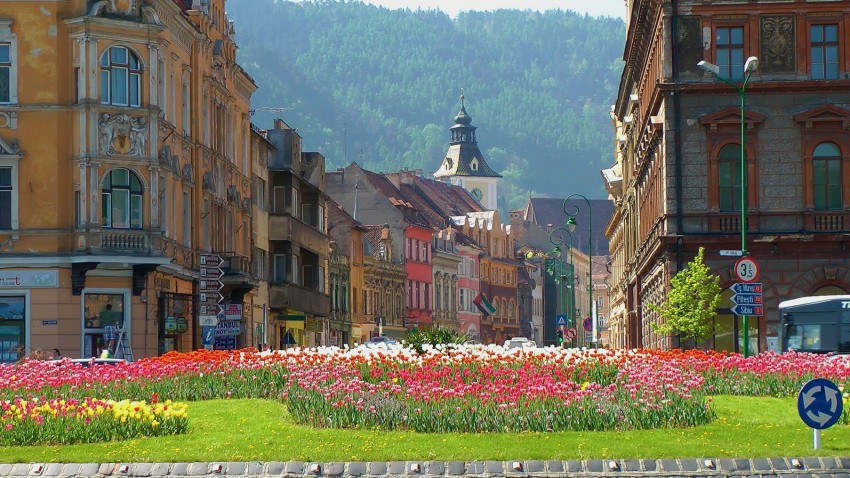 Oferte de spatii comerciale, de depozitare/industriale sau de spatii de birouri din Municipiul Brasov